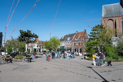 Na een jaar testen is duidelijk: de Hof is een stuk groener, maar ideaal is nieuwe inrichting nog ni