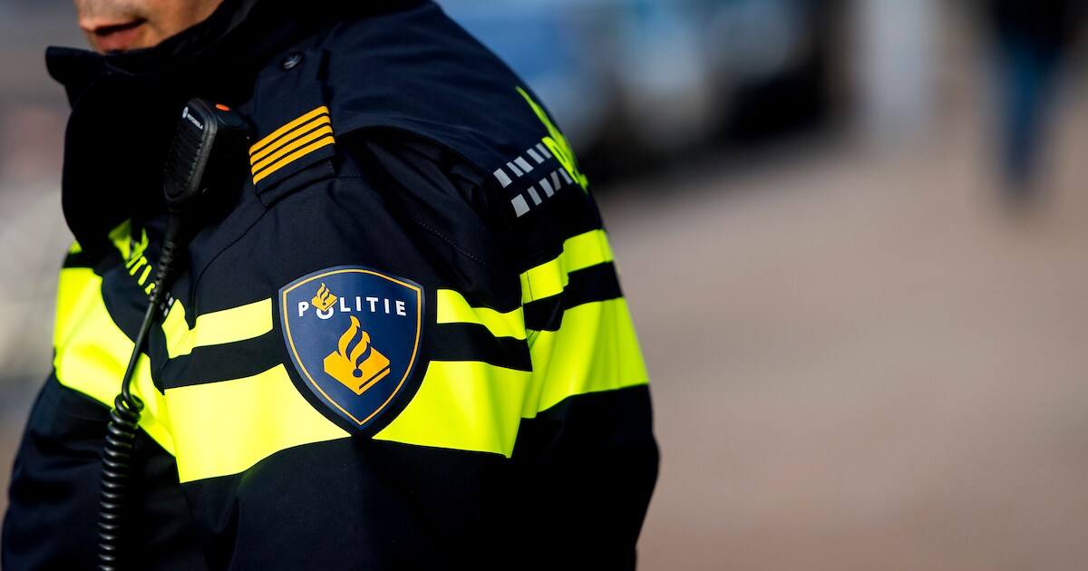 Ontsnapt paard aangereden in Bentveld, ruiter en automobilist ongedeerd