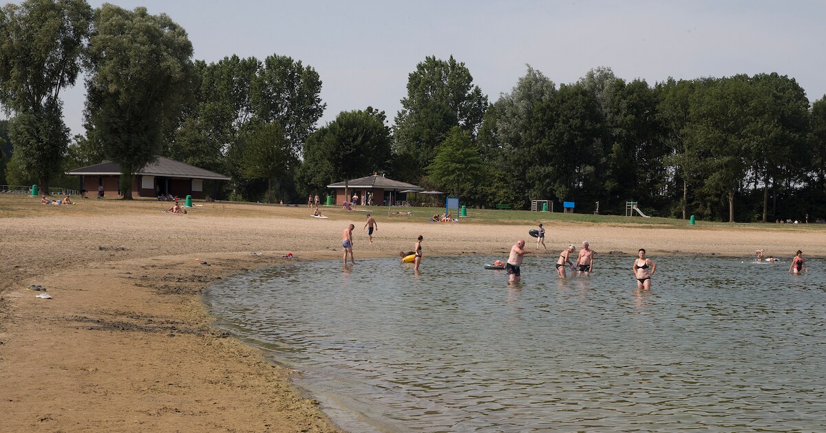 Blauwalgenwaarschuwing bij Slingeplas ingetrokken | Aalten