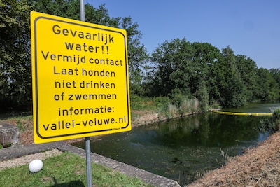 Apeldoorns Kanaal nog altijd vervuild na rioollozing: ‘Het ruikt naar poep en lijkt op modder’