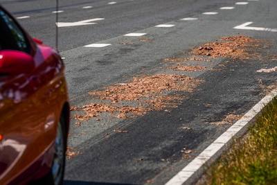 Image related to the article