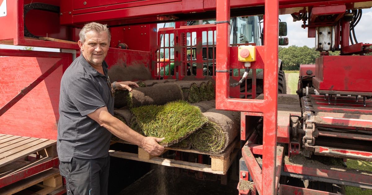 Hun opa begon met losse graszaadjes, nu leveren Marc en Frank graszoden uit Eemnes aan heel Nederlan