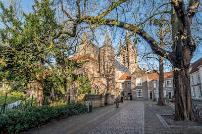 Project Prinsenhof kost 9 miljoen meer, stijging valt deel politiek rauw op het dak: ‘Niet uit te le