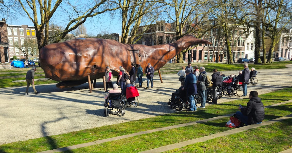Gemeente Schiedam heeft geen geld voor een langer verblijf van de walvis
