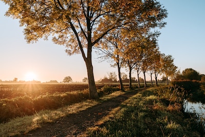 Schrijf je eindwerk over Essen en win 500 euro