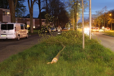 Auto knalt van weg en ramt bomen in Ede, bestuurder ongedeerd