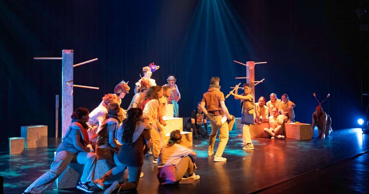 Jeugdtheater gratis te zien tijdens wijkfestival in Amersfoort