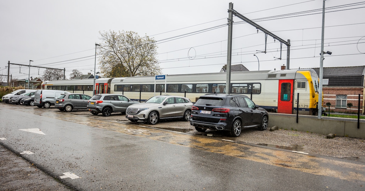 Noord-Limburgse gemeenten voeren druk op om treinverbinding Hamont-Weert te realiseren