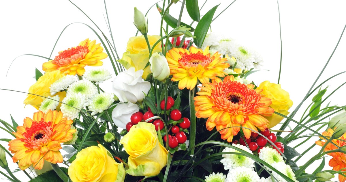 Uitje voor mantelzorgers: bloemen plukken in Aardenburg | Sluis