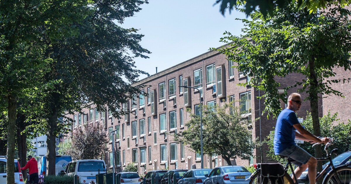 Honderden gammele huizen in Morgenstond tegen de vlakte, maar wat nu? ‘Ik wil hier heel graag blijve