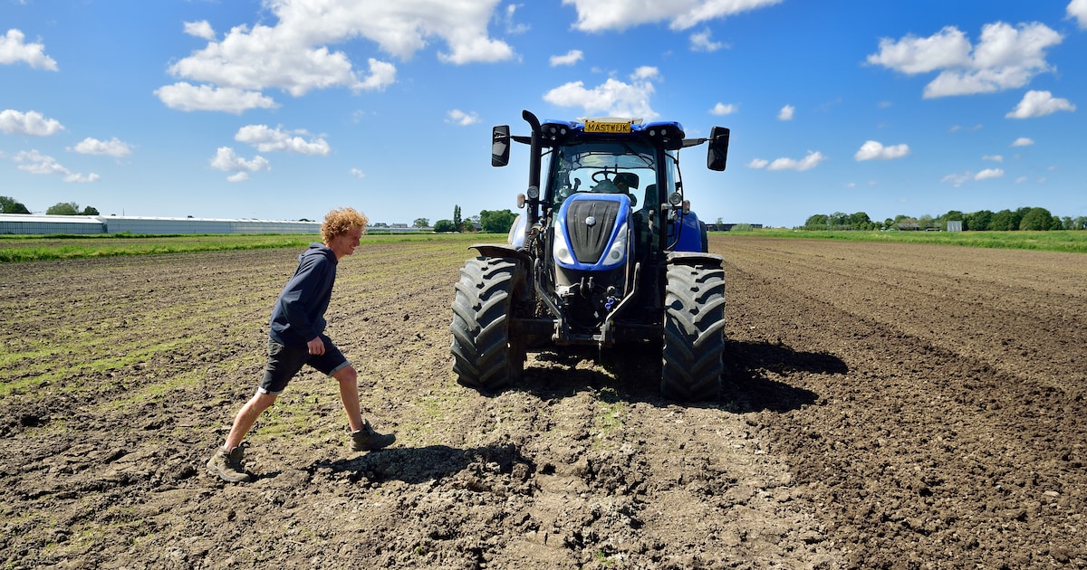 Helft van 48 flexwoningen voor veertig tot zestig statushouders