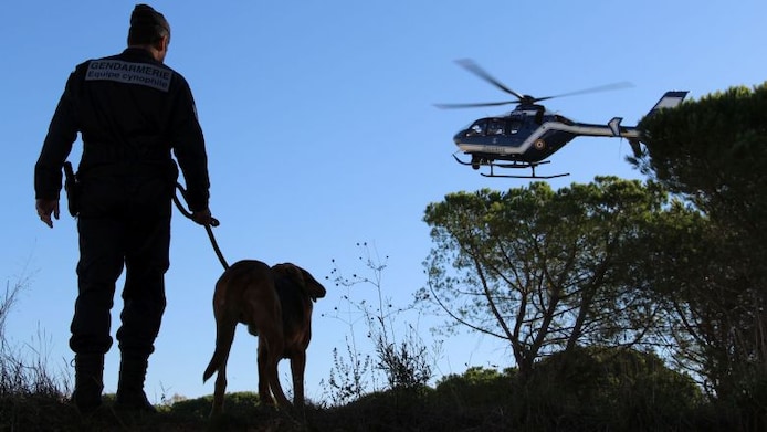 Zoekactie van twee dagen levert niets op, speurhond vindt man na 45 minuten  levend terug | Buitenland | AD.nl