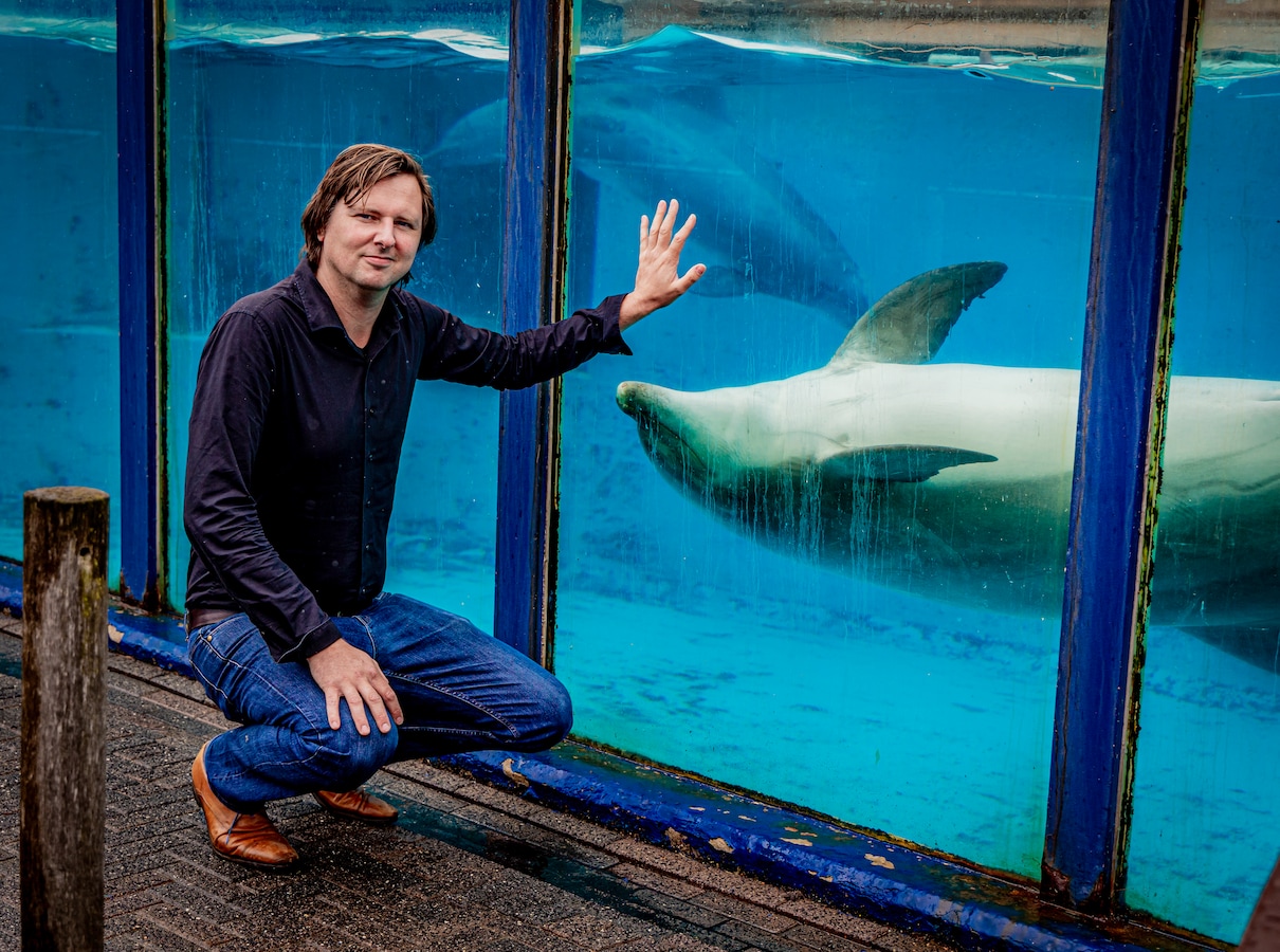 Volop overtredingen bij shows in het Dolfinarium | Foto | AD.nl