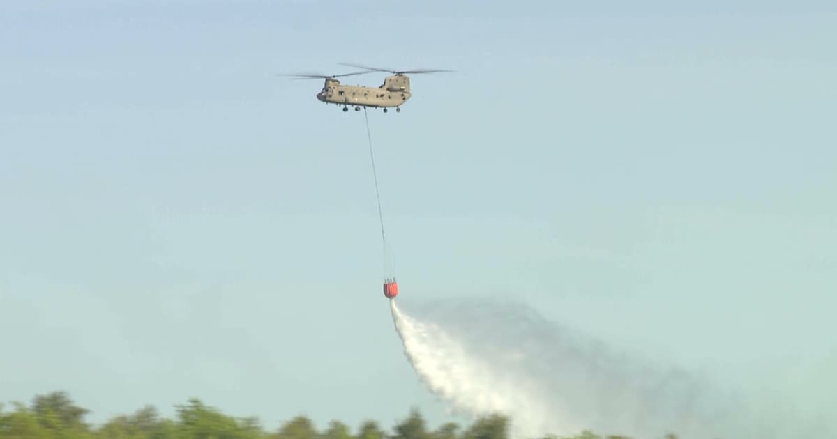 Bomen in Heldense Bossen 'instabiel' na blussen met helikopter