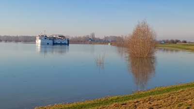 Provincie waarschuwt voor blauwalgen bij strand Het Eiland van Maurik