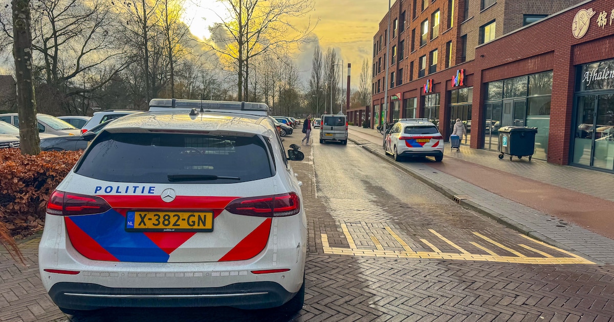 Winkeldief aangehouden na diefstal bij supermarkt aan de Eglantier in Apeldoorn
