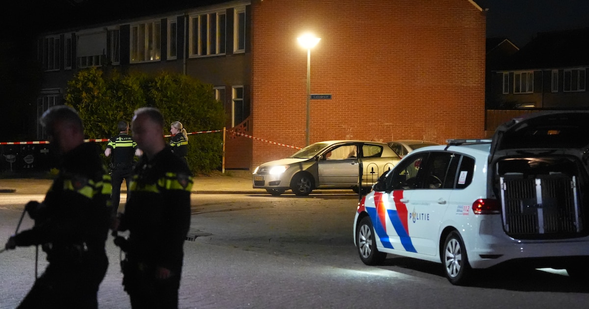 Acht aanhoudingen na steekincident Winschoten, waarbij drie gewonden vielen