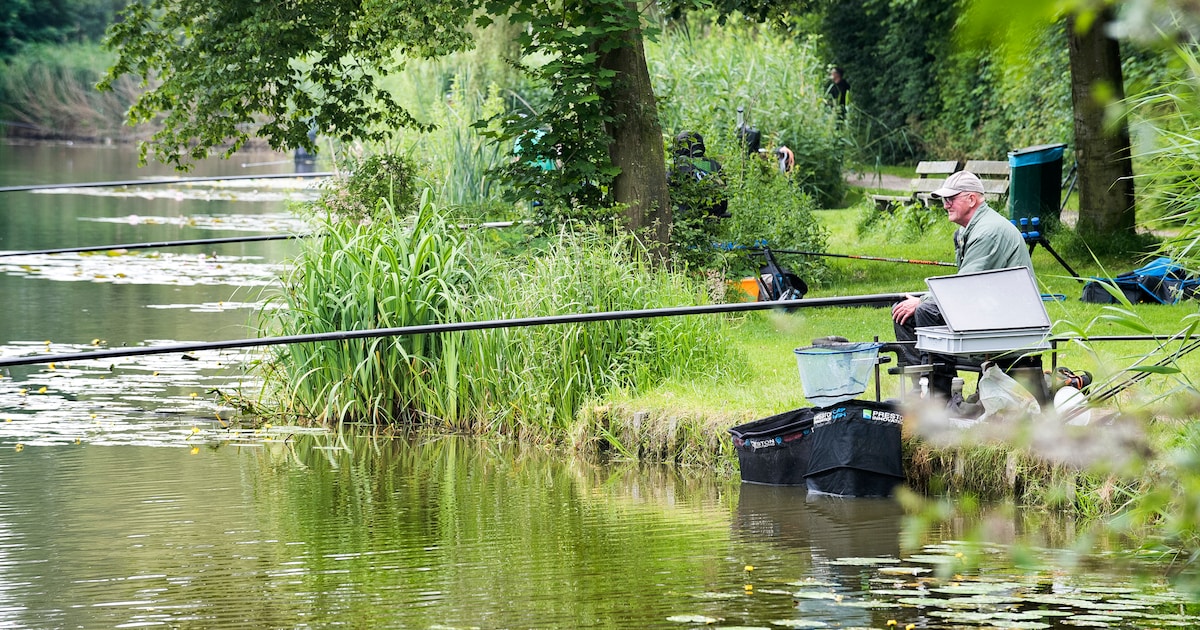 Eendenkooien in Lopikerwaard centraal in bijzondere presentatie