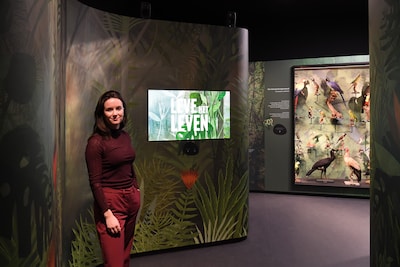 Image related to the article