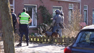 Image related to the article