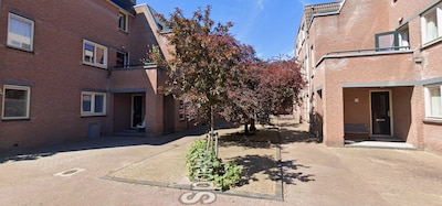 Leiden presenteert definitief groenontwerp Spoelstraat