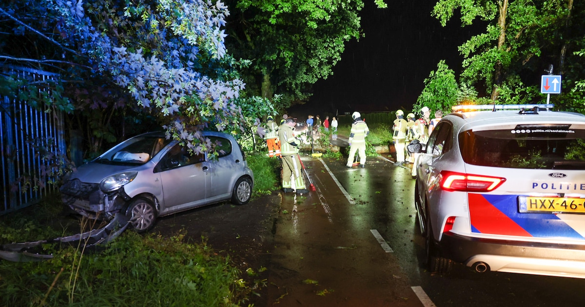 Auto botst tegen omgevallen boom in Odijk