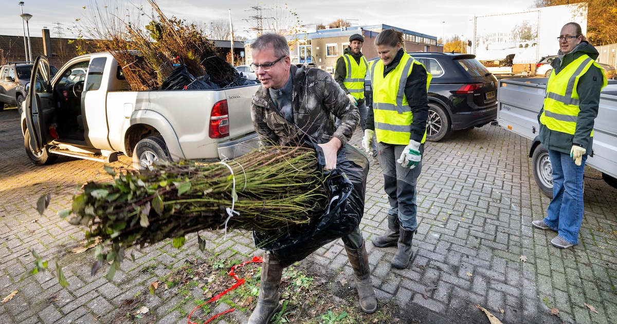 Lansingerland deelt gratis struiken uit: inschrijven nodig