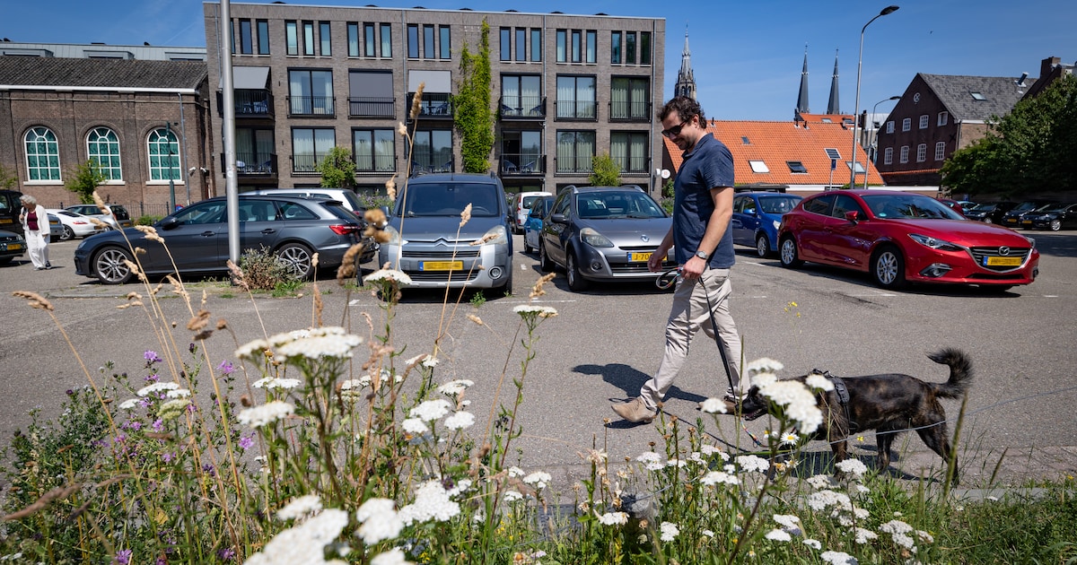 Inloopavond over herinrichting Gasthuisplaats in Delft