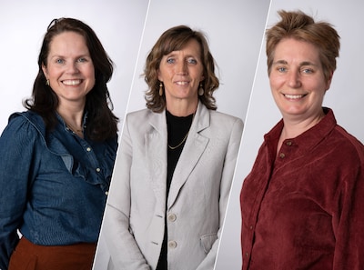 Image related to the article