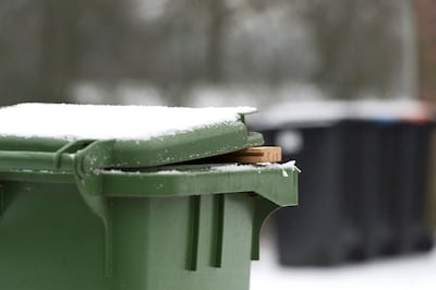 Image related to the article