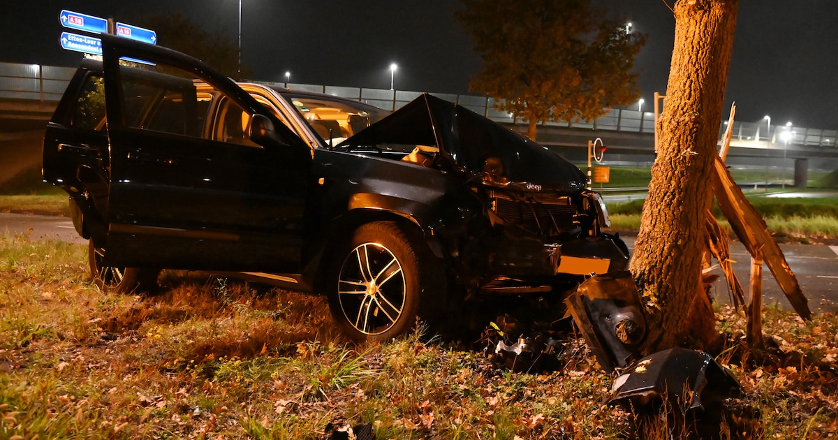 Automobilist rijdt tegen boom in Breda