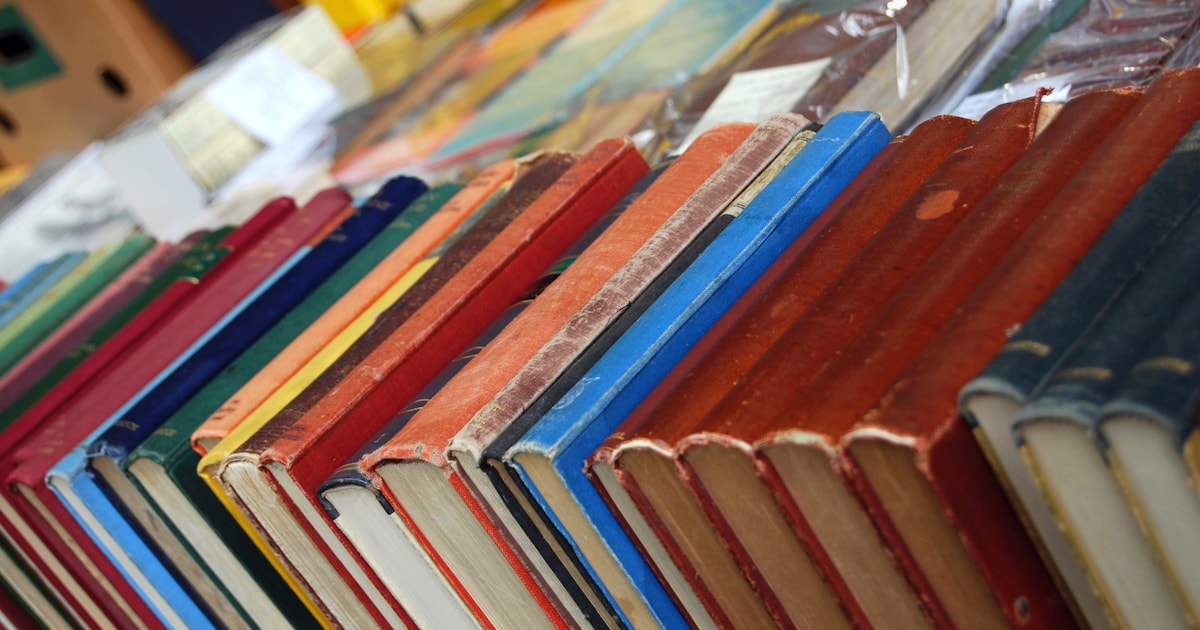 Tweedehands boekenverkoop in Wijk en Aalburg