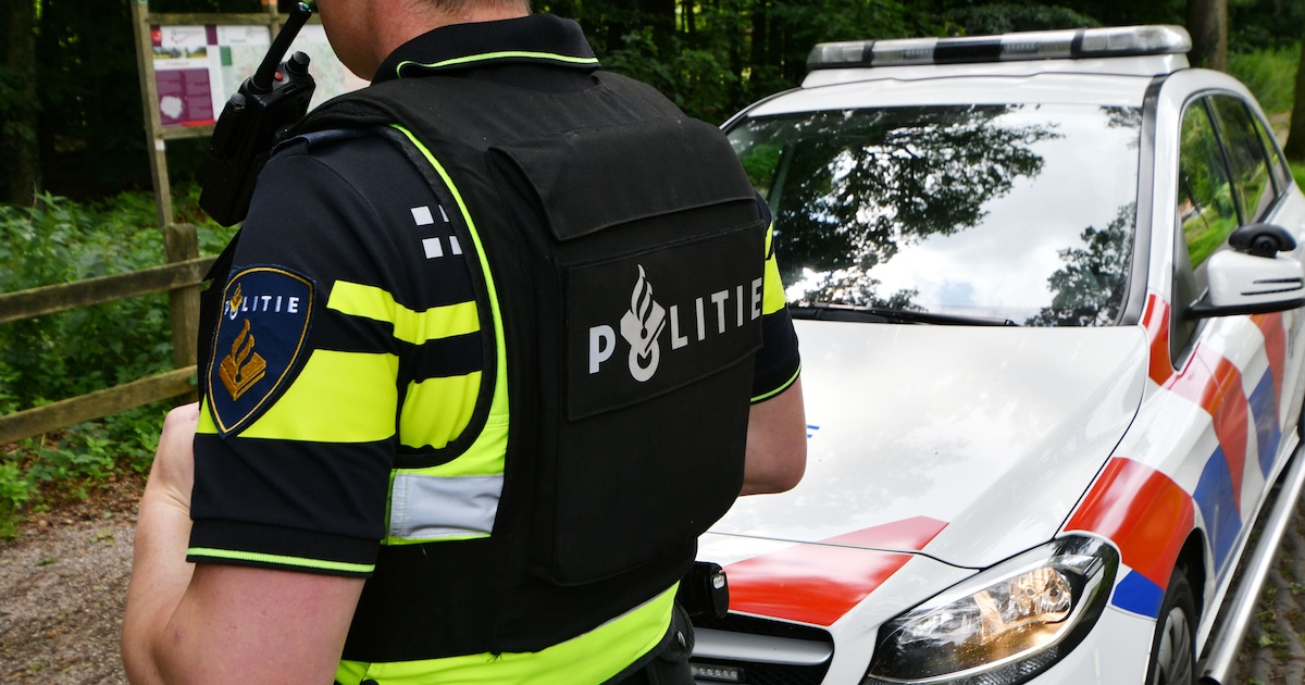 Politie lost waarschuwingsschot bij aanhoudingen na mishandeling in Beverwijk