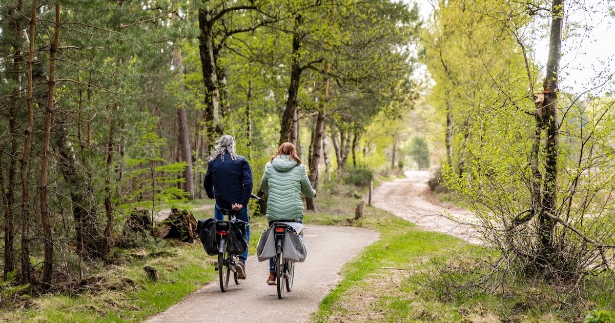 De hort op? Gratis fietstochten door Westerwolde, Oldambt en Pekela