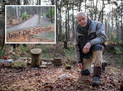 Steenmeel tegen verzuring werpt vruchten af: ‘Waar wormen terugkeren, volgen de mollen’