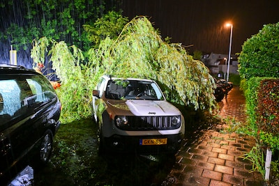 Image related to the article
