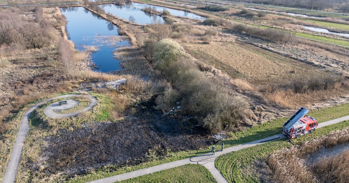 Stuk natuur gaat in vlammen op in Wolvega