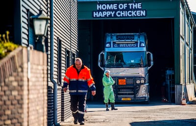Rechter kritisch op vergunning voor omstreden kippenboer Wiltenburg, hijzelf snapt daar niets van