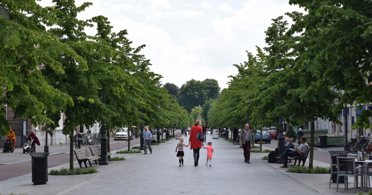 Wist jij dit? 3 x feitjes over de gemeenteraadsverkiezingen in Breda