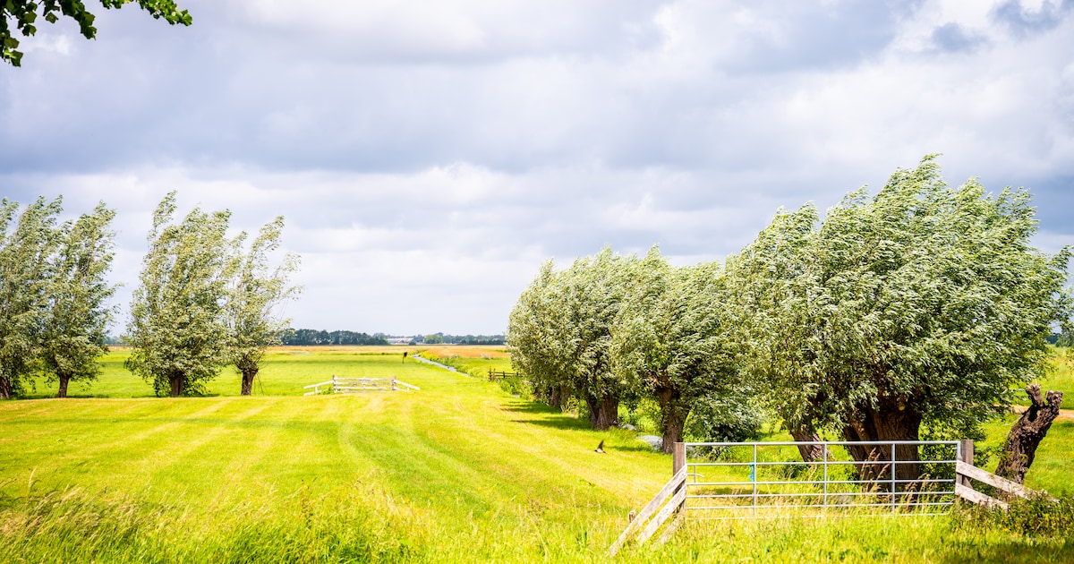 Omstreden natuurontwikkeling Bodegraven-Noord weer hervat
