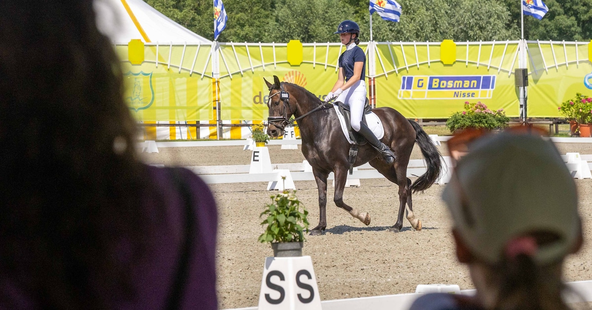 Jumpin’ de Weel in Nisse niet alleen in teken van paardensport, ook van ontmoeting en activiteiten
