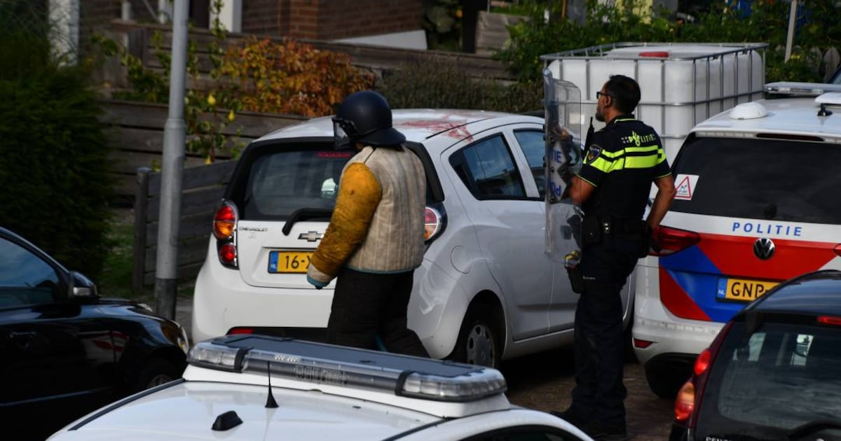 Hond valt mensen aan op straat: bebloede man klimt op autodak