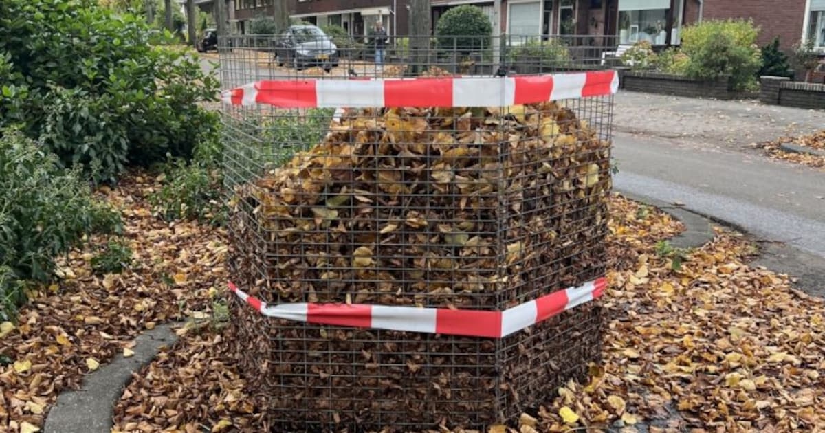 Herfstbladeren krijgen nieuwe bestemming in Ridderkerkse wijken