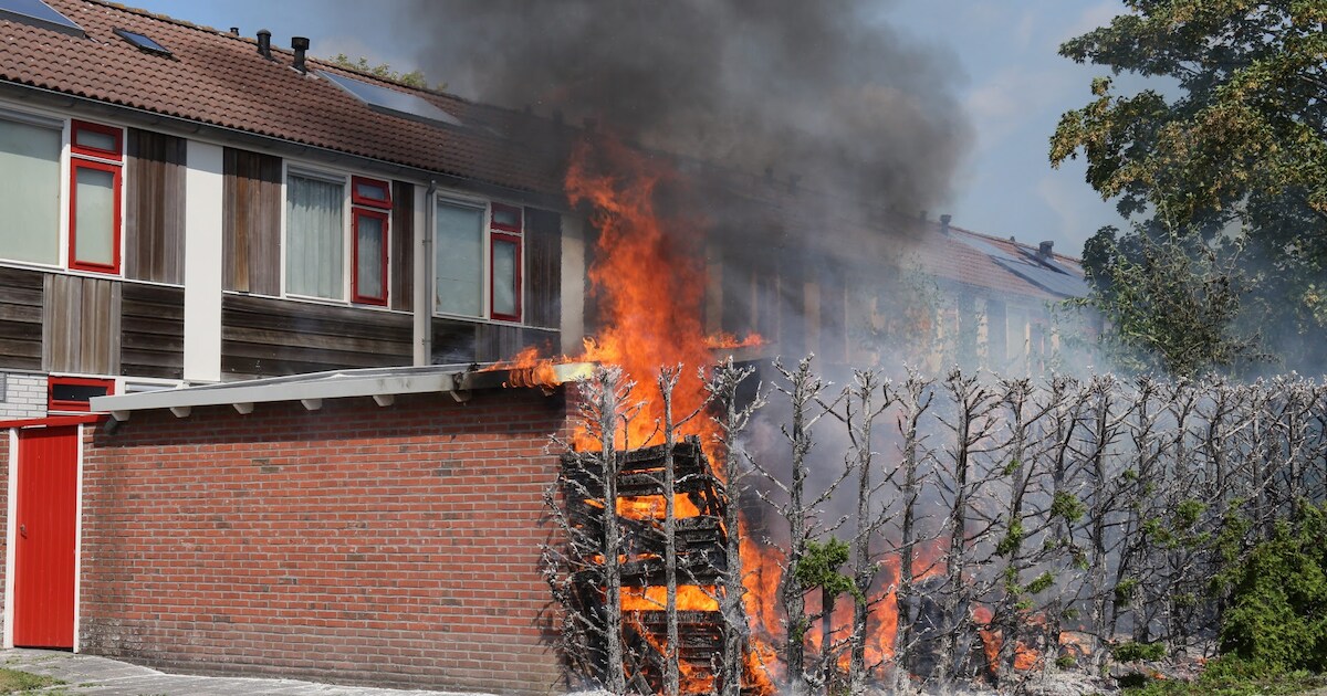 Brand legt coniferenhaag in de as in Gorredijk