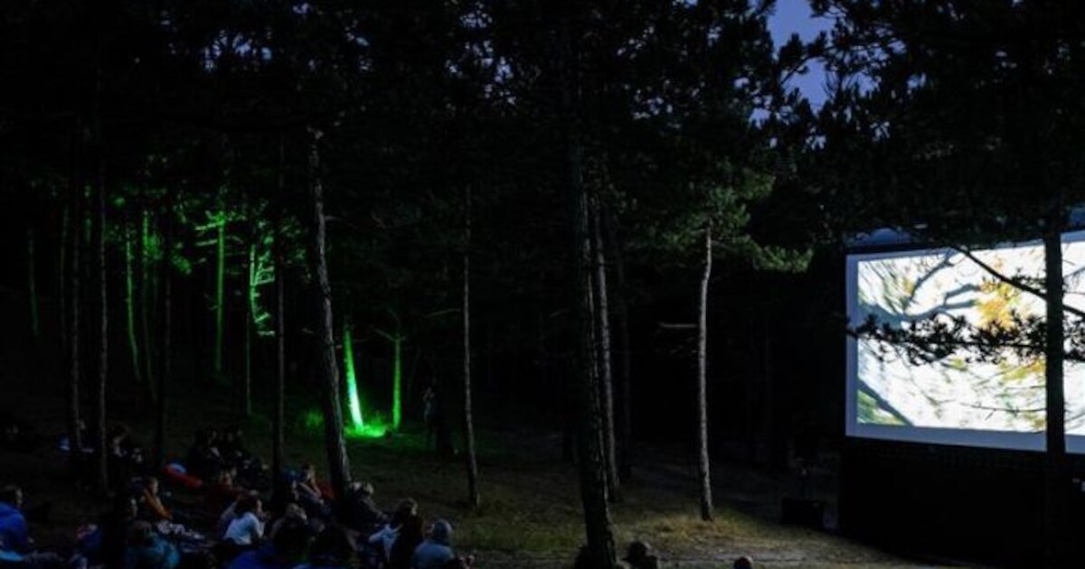 Gratis openluchtbioscoop op Vlieland