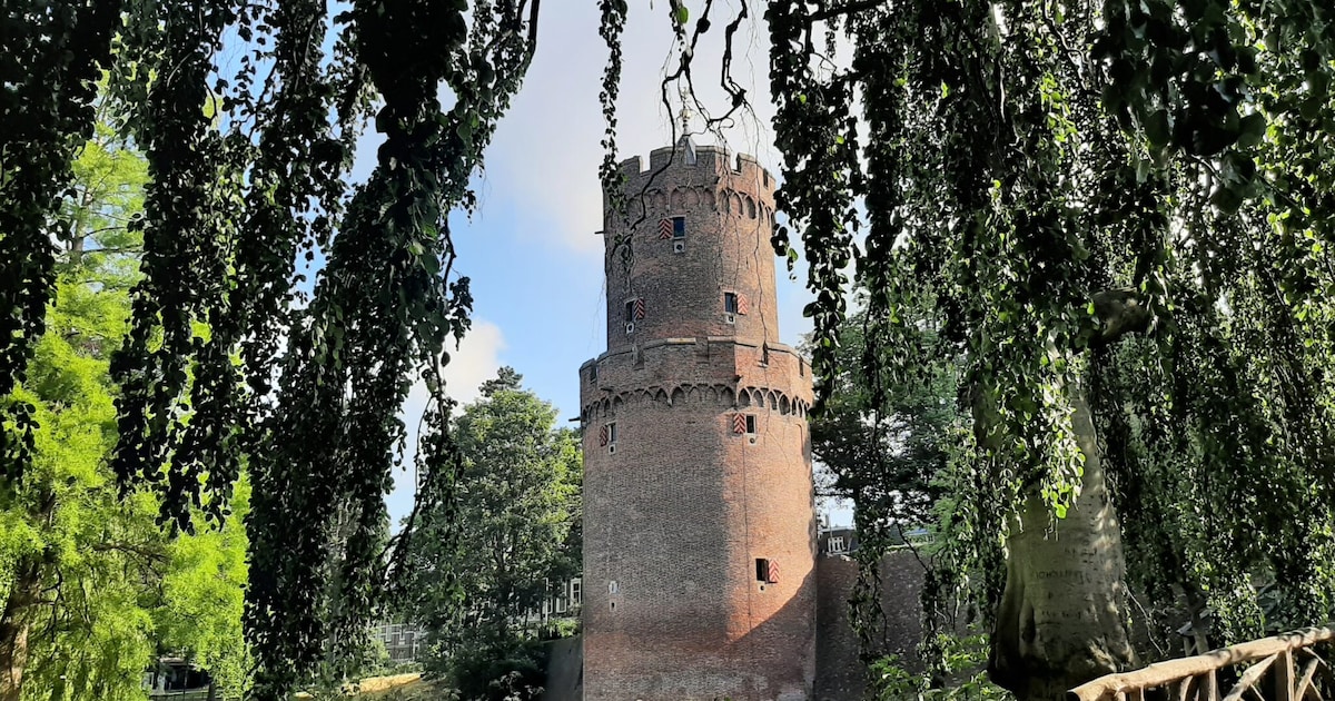 Dit doe je tussen kerst en oud en nieuw in Nijmegen (26 - 28 dec)