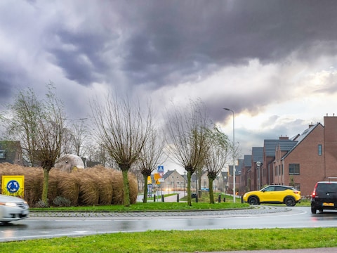 Rotonde Beijerinckstraat en Zuidplaslaan.
