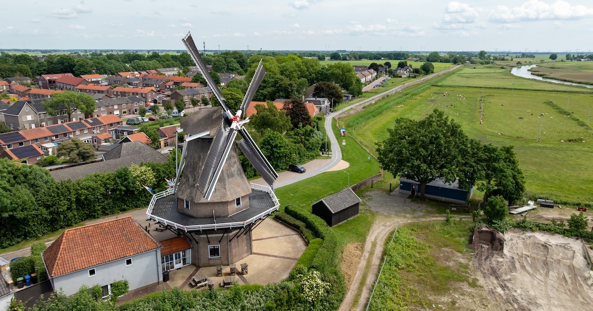Filmavond in molen Hasselt