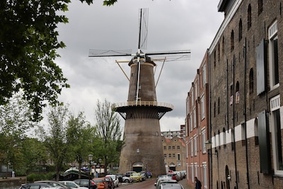 Ondernemer gezocht voor molen De Palmboom: speeddates moeten nieuwe huurder opleveren
