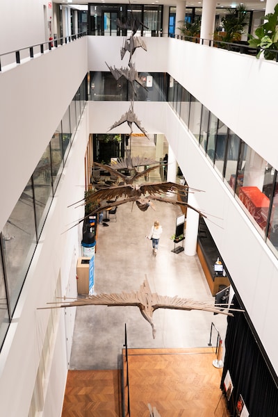 Image related to the article